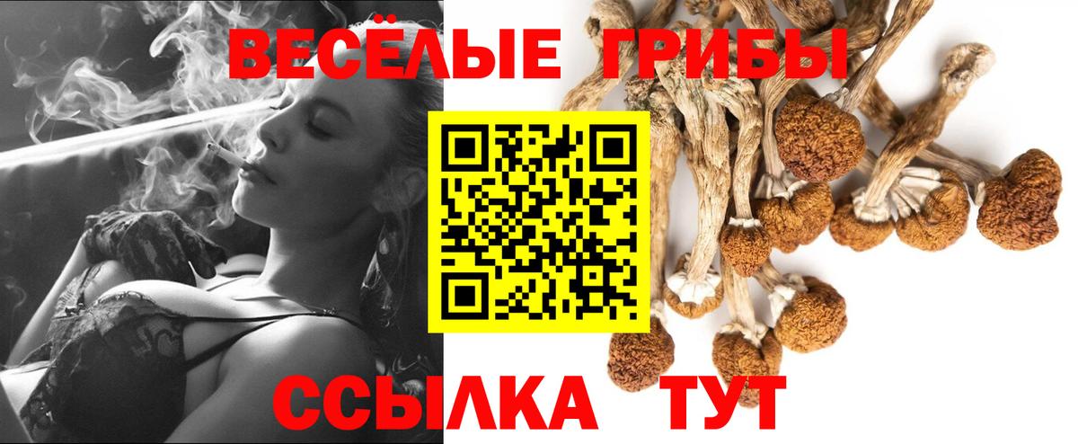 Старая Купавна  Псилоцибиновые грибы прущие грибы  Псилоцибиновые грибы мицелий  Вход с VPN 